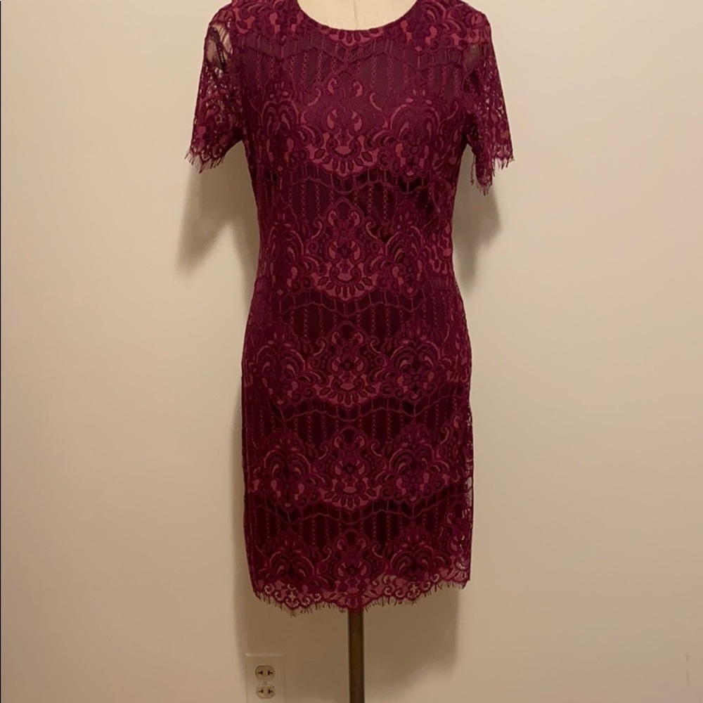 Kensie Berry lace dress size 6